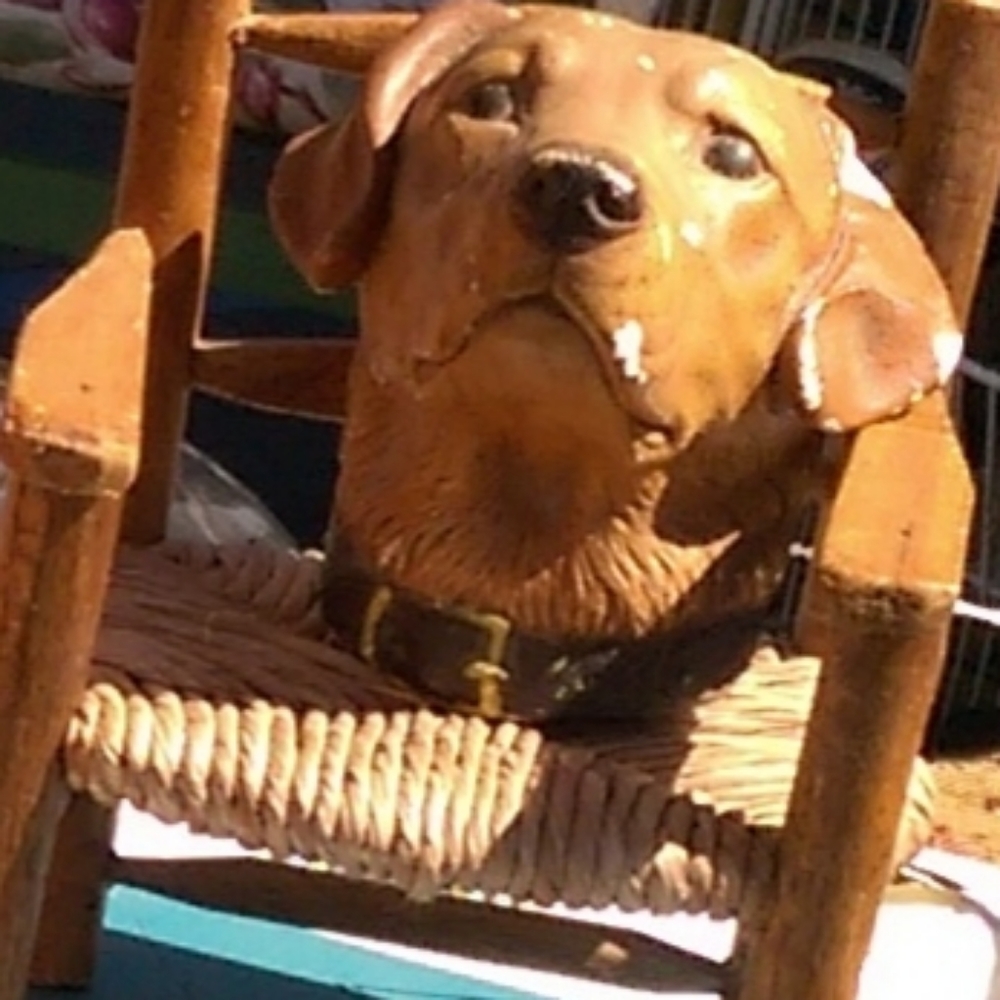 Chalkware Bossons Dog